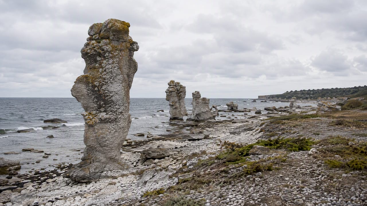 Kalkstensraukar längs Fårös vidsträckta kust