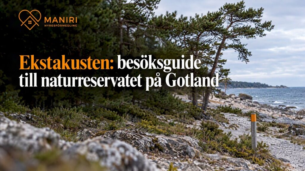 Strandvallar och vindpinad strandskog vid Ekstakusten